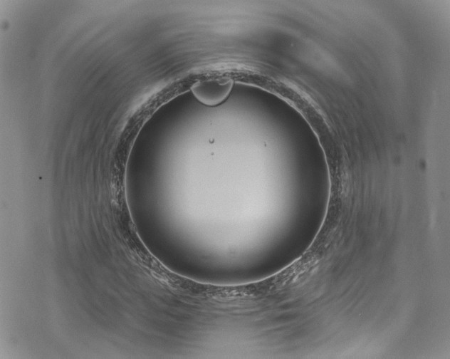 X0000073730823200608031327