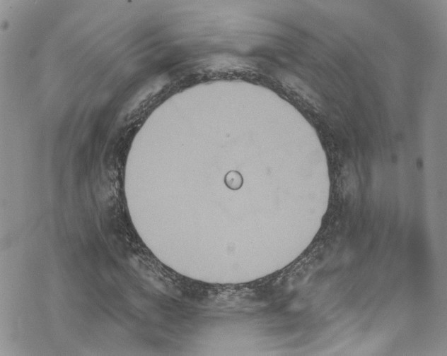 X0000073730824200608031327