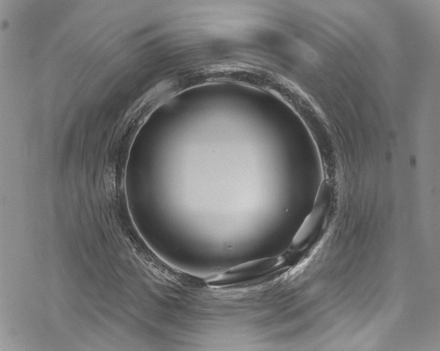 X0000073730825200608031327