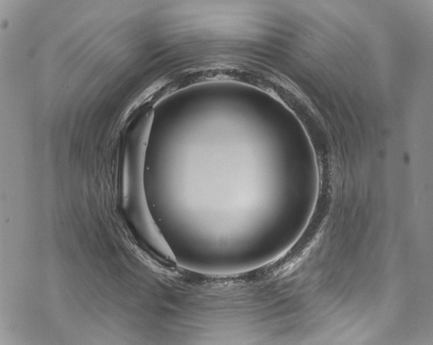 X0000073730826200608031327