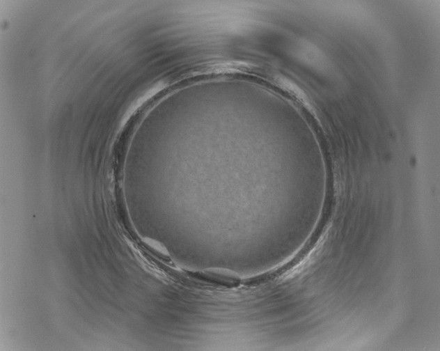 X0000073730827200608031327