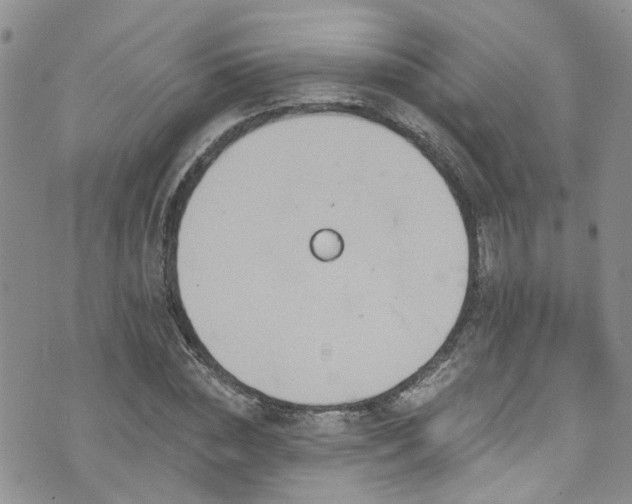 X0000073730828200608031327