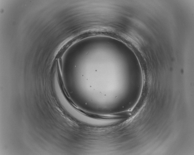 X0000073730829200608031327