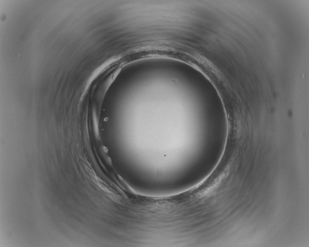 X0000073730830200608031327