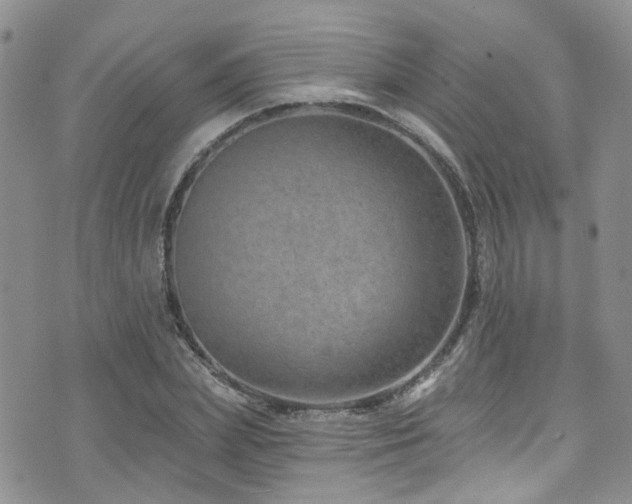 X0000073730831200608031327