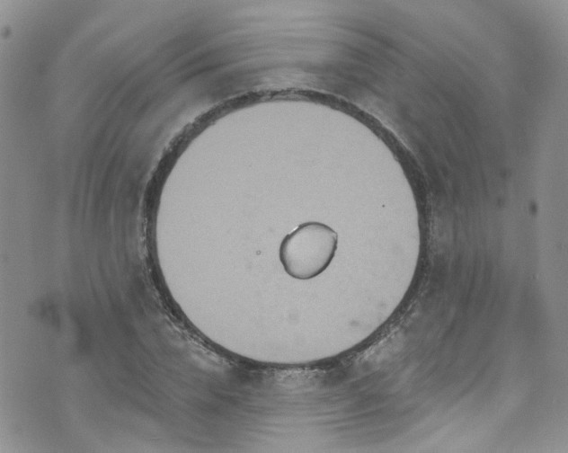 X0000073730832200608031327