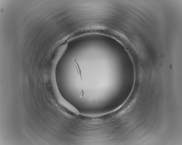 X0000073730833200608031327