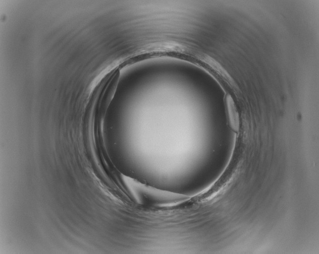 X0000073730834200608031327