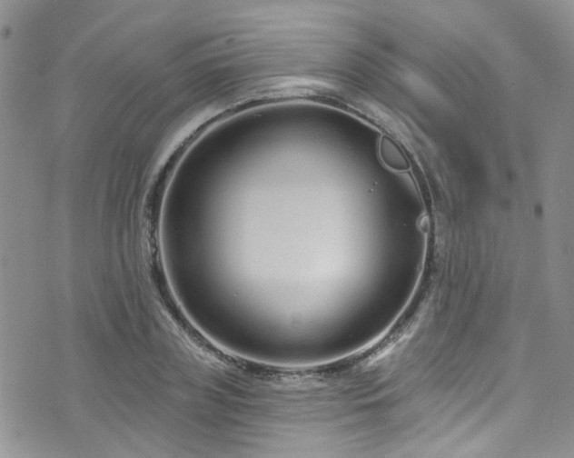 X0000073730835200608031327