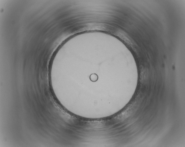 X0000073730836200608031327