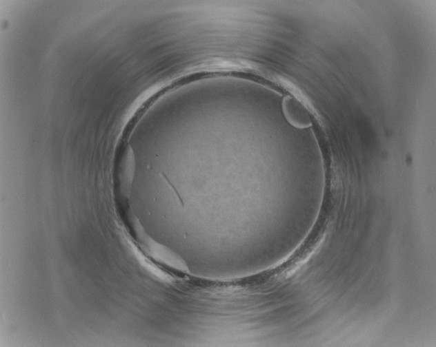 X0000073730837200608031327