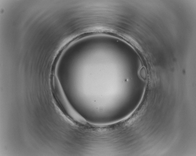 X0000073730839200608031327