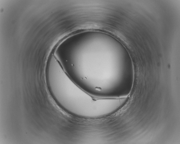 X0000073730840200608031327