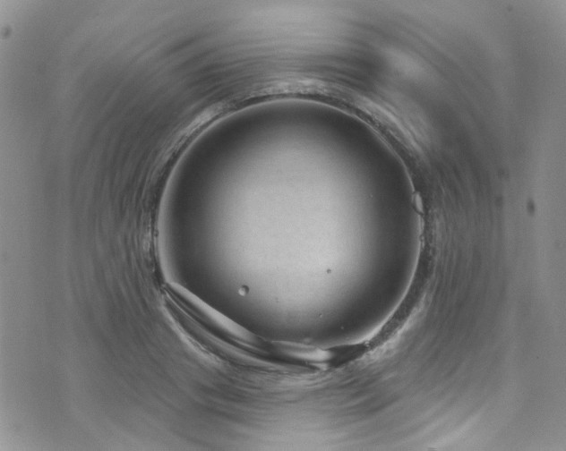 X0000073730841200608031328