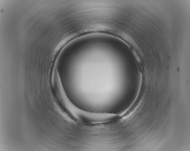 X0000073730842200608031328