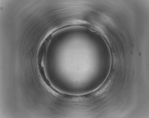 X0000073730843200608031328