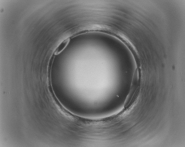 X0000073730845200608031328