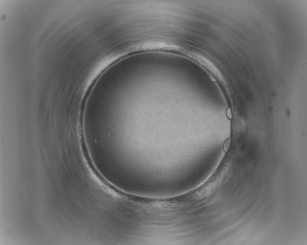 X0000073730847200608031328