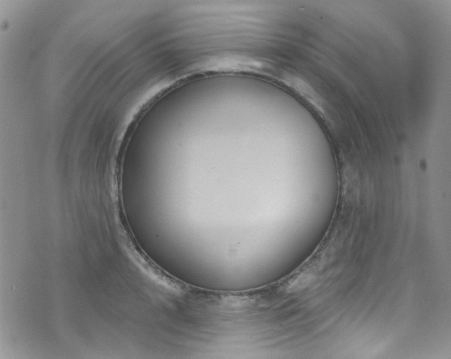 X0000073730848200608031328