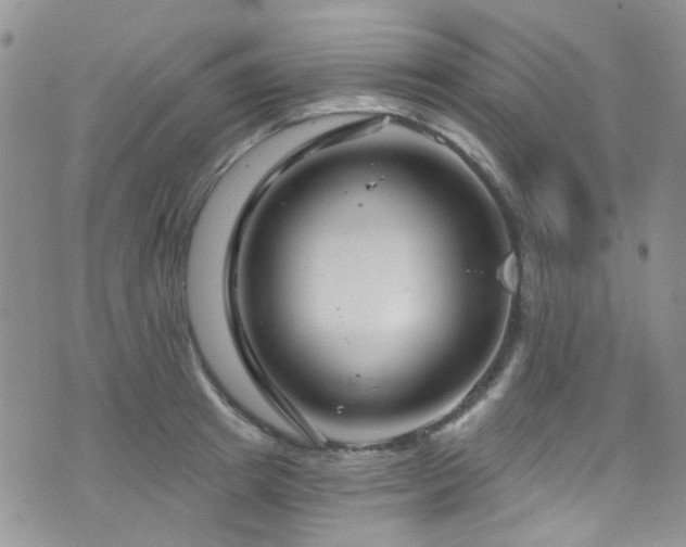 X0000073730849200608031328