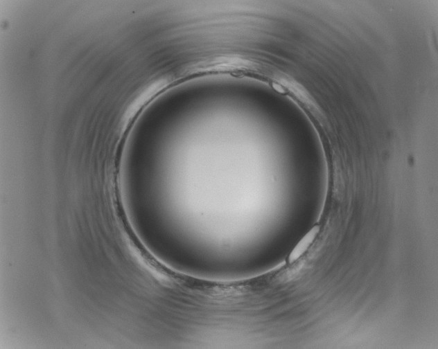 X0000073730850200608031328