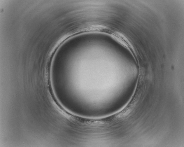 X0000073730851200608031328