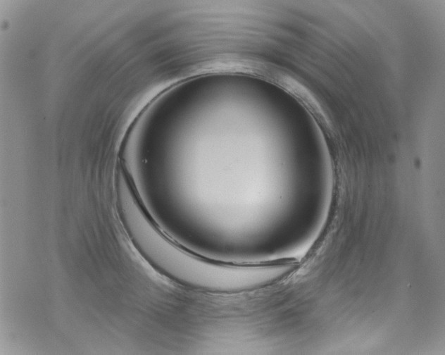 X0000073730852200608031328