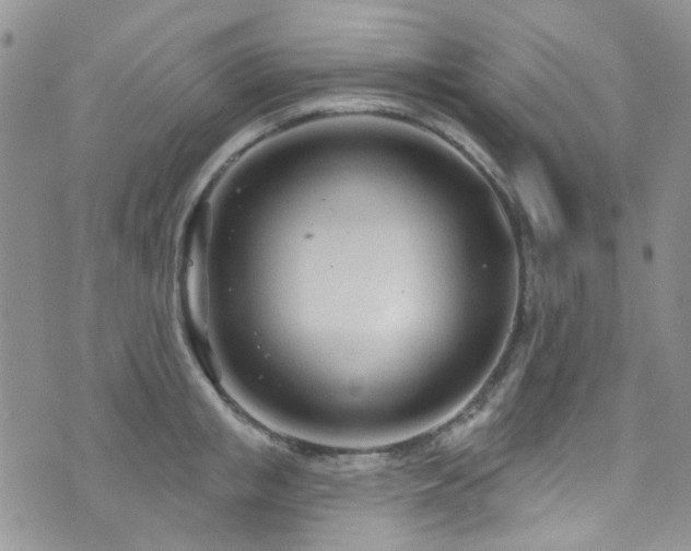 X0000073730853200608031328