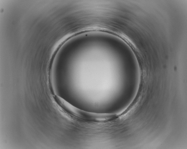 X0000073730854200608031328