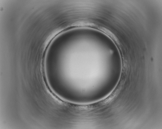 X0000073730855200608031328