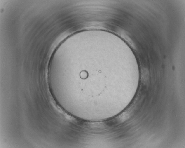 X0000073730856200608031328