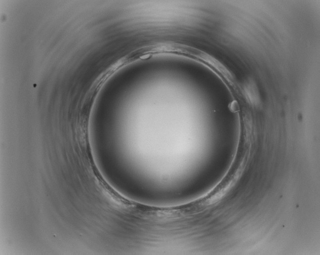 X0000073730857200608031328