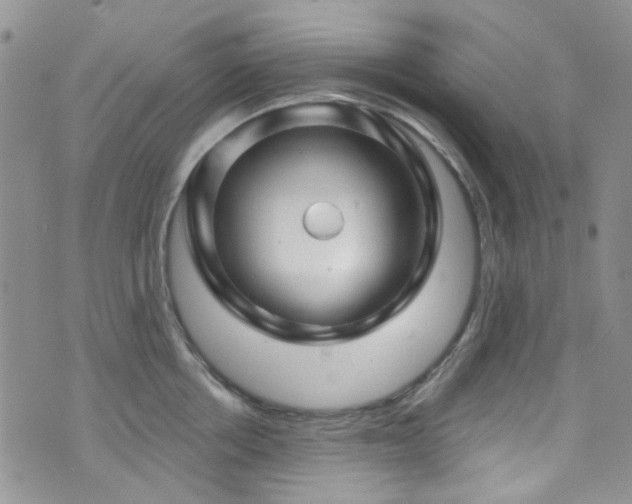 X0000073730858200608031328