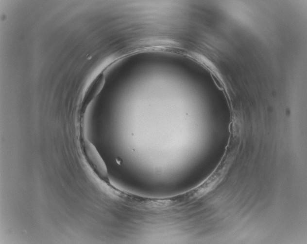 X0000073730859200608031328