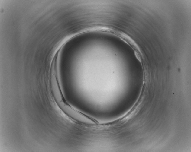 X0000073730860200608031328