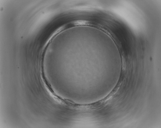 X0000073730861200608031328