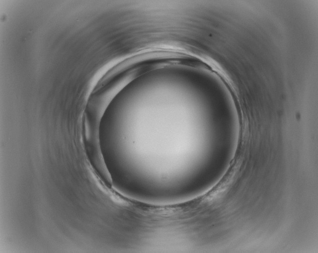 X0000073730862200608031328