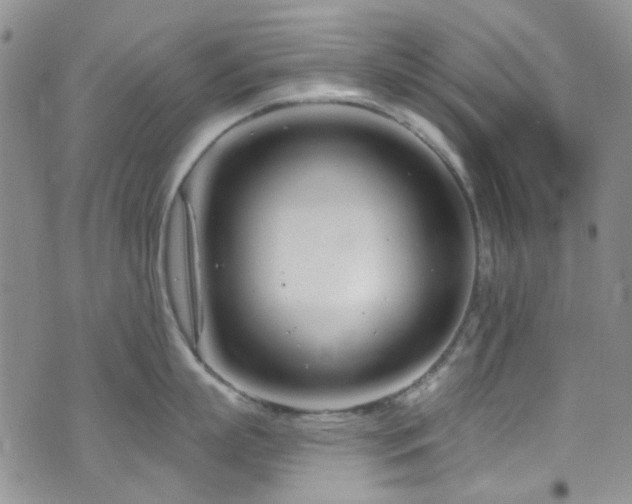 X0000073730863200608031328