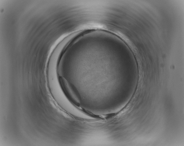 X0000073730864200608031328