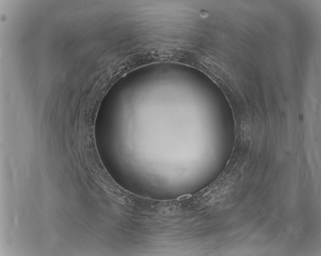 X0000073730865200608031327