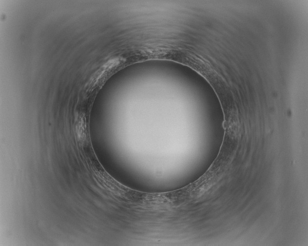 X0000073730866200608031327