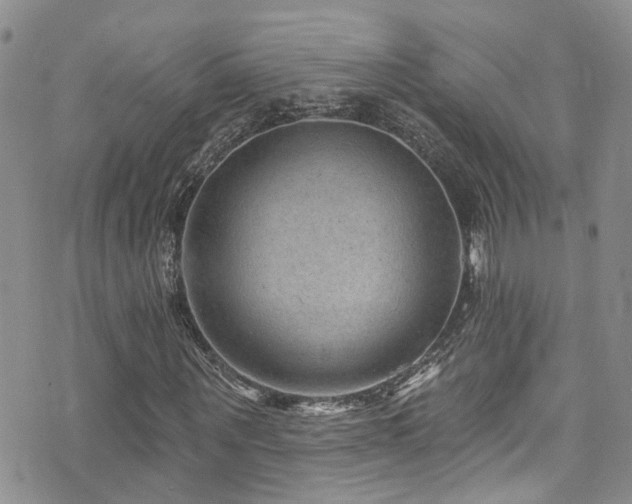 X0000073730867200608031327