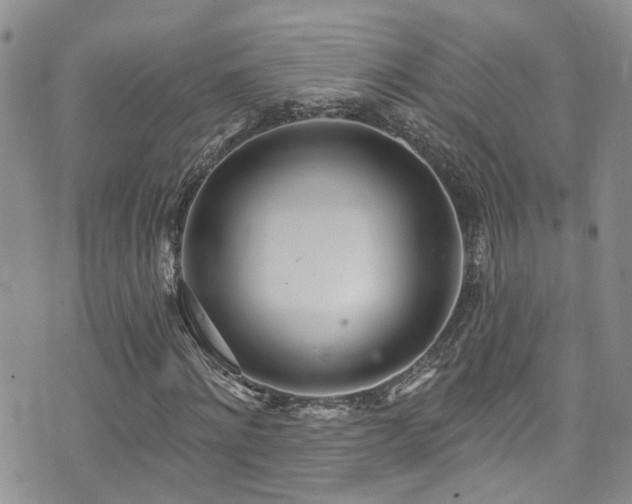 X0000073730868200608031327