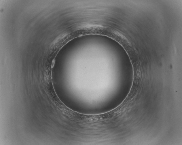 X0000073730869200608031327