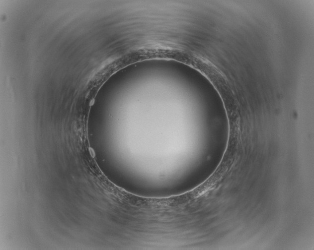 X0000073730870200608031327