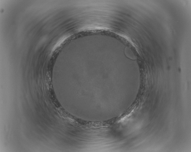 X0000073730871200608031327