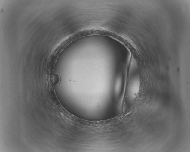 X0000073730872200608031327