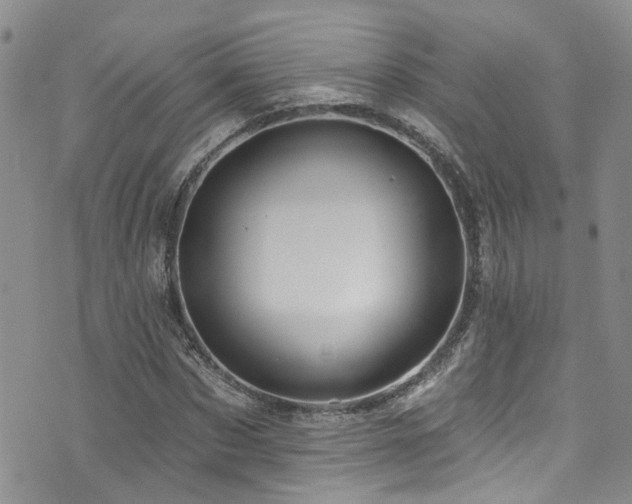 X0000073730873200608031327