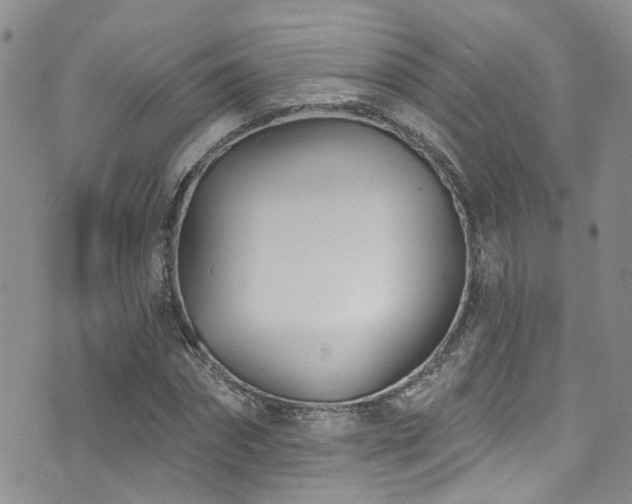 X0000073730874200608031327