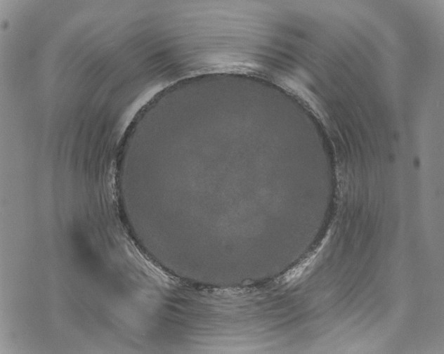 X0000073730875200608031327